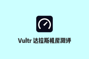 Vultr晚高峰测试：2021美国达拉斯机房速度测试、Ping延迟、路由追踪和丢包率