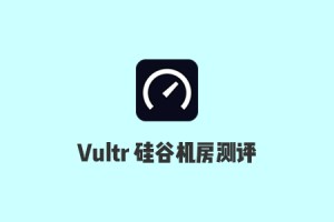Vultr晚高峰测试：2021美国硅谷机房速度测试、Ping延迟、路由追踪和丢包率