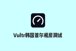 Vultr晚高峰测试：2021韩国首尔机房速度测试、Ping延迟、路由追踪、丢包率